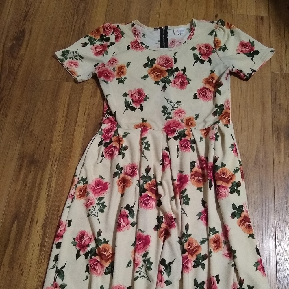 LuLaRoe Amelia Dress